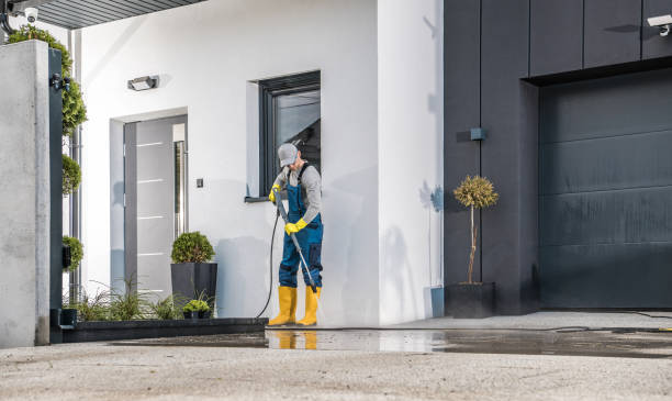 Best Gutter Cleaning  in Ozona, TX